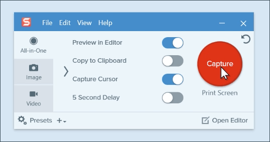 Techsmith Snagit картинка №24659