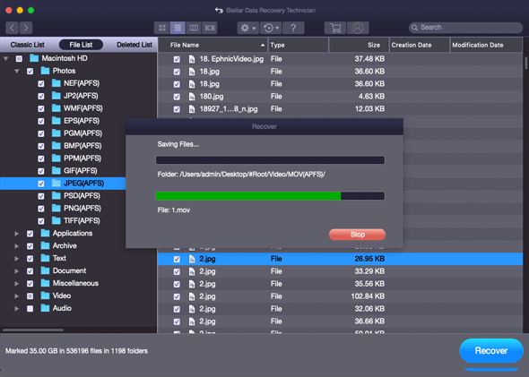Stellar Data Recovery Technician for Mac картинка №25738