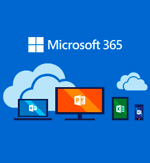 Microsoft 365 Business Standard картинка №23492