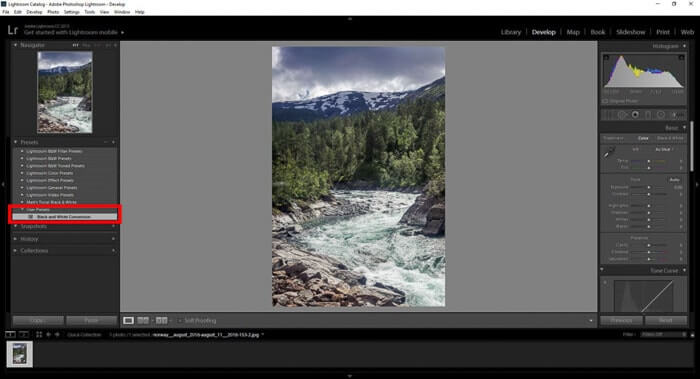 Adobe Photoshop Lightroom Classic for teams картинка №24717