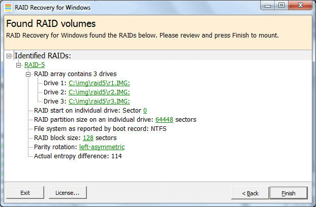 Runtime Software RAID Recovery for Windows картинка №25604