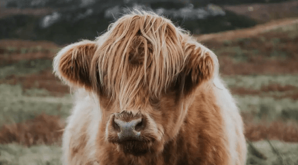 Runway Pro картинка №31917