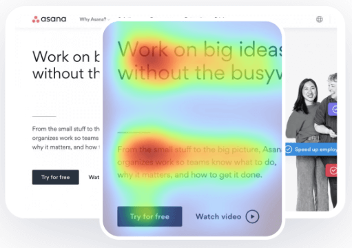 Attention Insight Pro картинка №31662