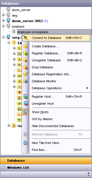 EMS SQL Manager for InterBase/Firebird картинка №23406