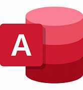 Microsoft Access 2019 (Software Perpetual License) картинка №25199