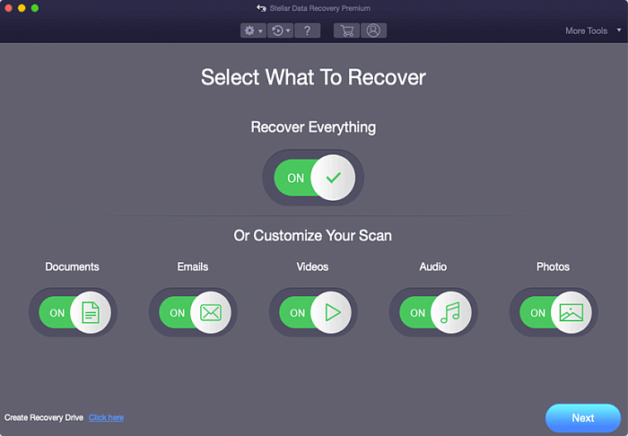 Stellar Data Recovery Premium for Mac картинка №25708