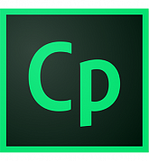 Adobe Captivate for teams картинка №24676