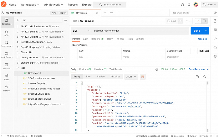 Postman Basic картинка №27418