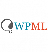 WPML картинка №30236