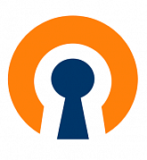 OpenVPN Access Server Growth картинка №33461