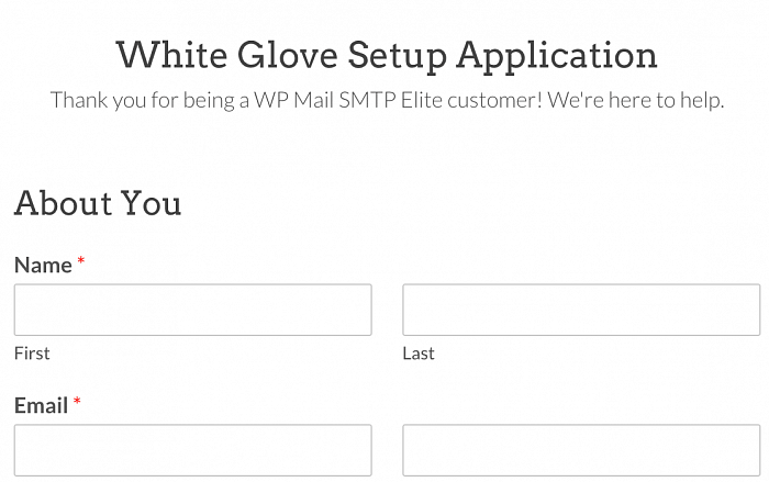 WPForms WP Mail SMTP Pro картинка №31825