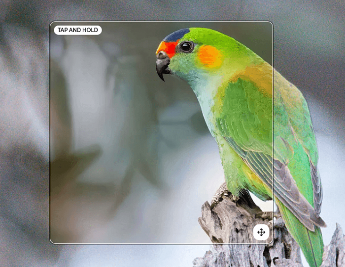 Topaz Studio картинка №33655