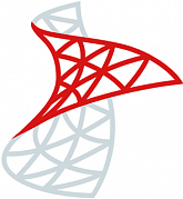 Microsoft SQL Server Standard 2022 (Software Perpetual License) картинка №31442