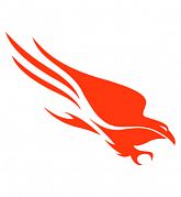 CrowdStrike Falcon Pro картинка №32425