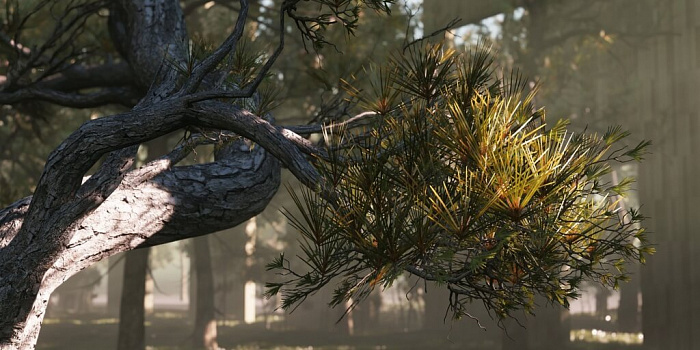 SpeedTree for UE4 картинка №26659