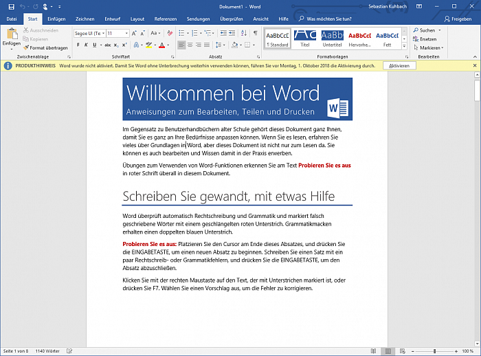 Microsoft Word LTSC for Mac 2021 картинка №26952