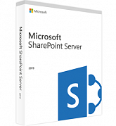Microsoft SharePoint Server 2019 (Software Perpetual License) картинка №23708