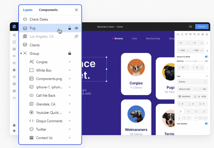 Siter.io Plus картинка №29812