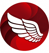 Embarcadero RAD Server картинка №31196