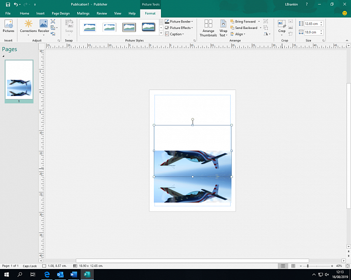 Microsoft Publisher 2019 (OLP) картинка №25282