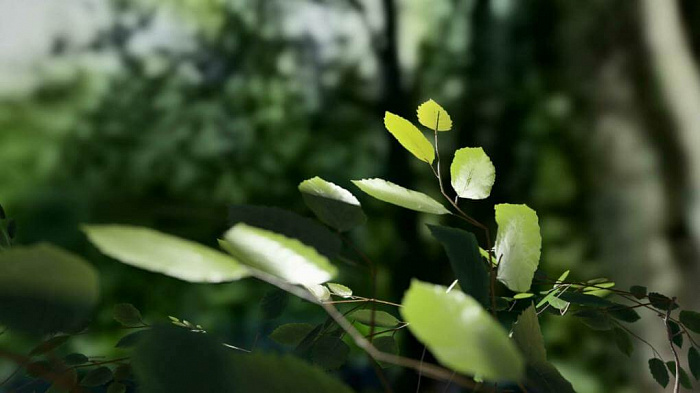 SpeedTree Pro картинка №26657