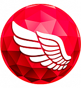 Embarcadero RAD Server картинка №32284