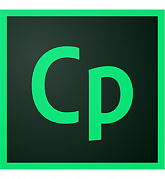 Adobe Captivate картинка №24556