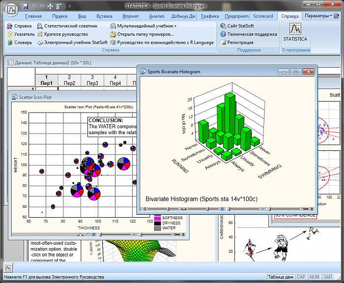 StatSoft Statistica Modeler картинка №23184