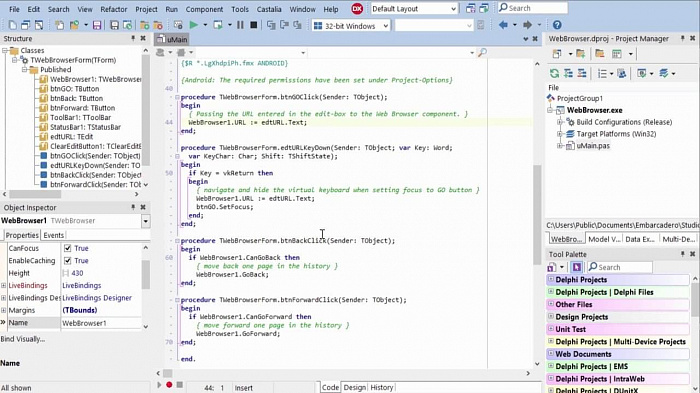 Embarcadero Delphi Professional картинка №23867