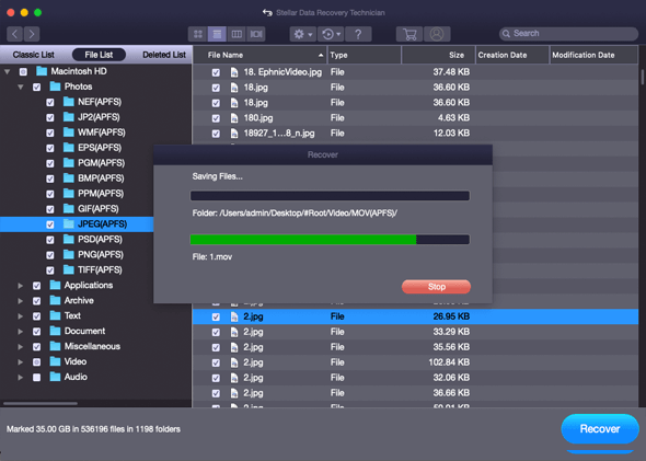 Stellar Data Recovery Technician for Mac картинка №25738 - www.fortsoft.com.ua Stellar Data Recovery Technician for Mac картинка №25738