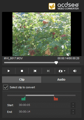ACDSee Video Converter Pro картинка №24419