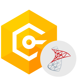 Devart dotConnect for SQL Server картинка №24060 - www.fortsoft.com.ua Devart dotConnect for SQL Server картинка №24060
