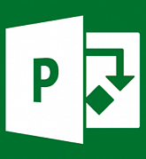 Microsoft Project Server 2019 (Software Perpetual License) картинка №23704
