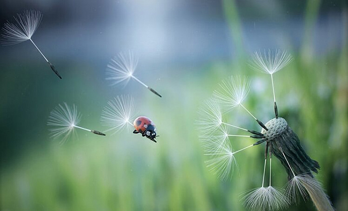 Corona Renderer for 3ds Max картинка №24566 - www.fortsoft.com.ua Corona Renderer for 3ds Max картинка №24566