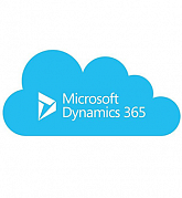 Microsoft Dynamics 365 Customer Service Professional картинка №23548