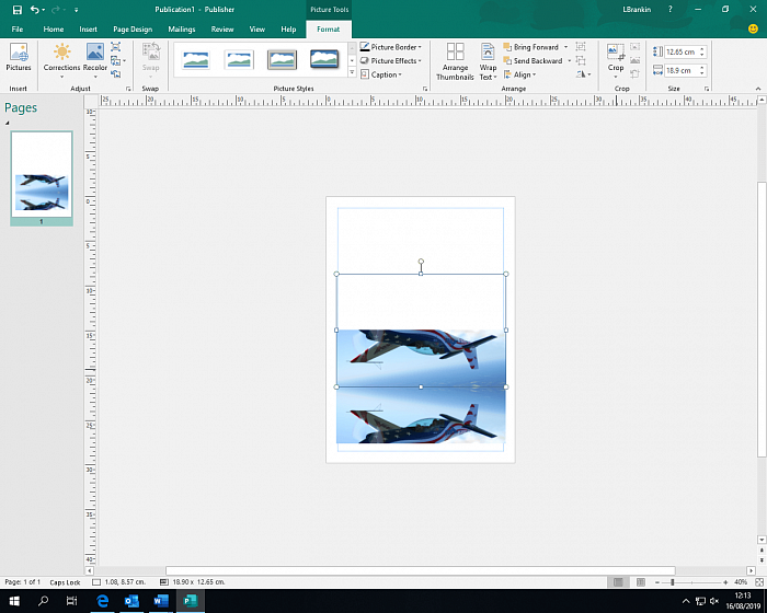 Microsoft Publisher 2019 (Software Perpetual License) картинка №25022