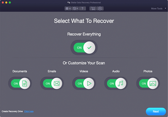 Stellar Data Recovery Professional for Mac картинка №25460